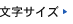 文字サイズ